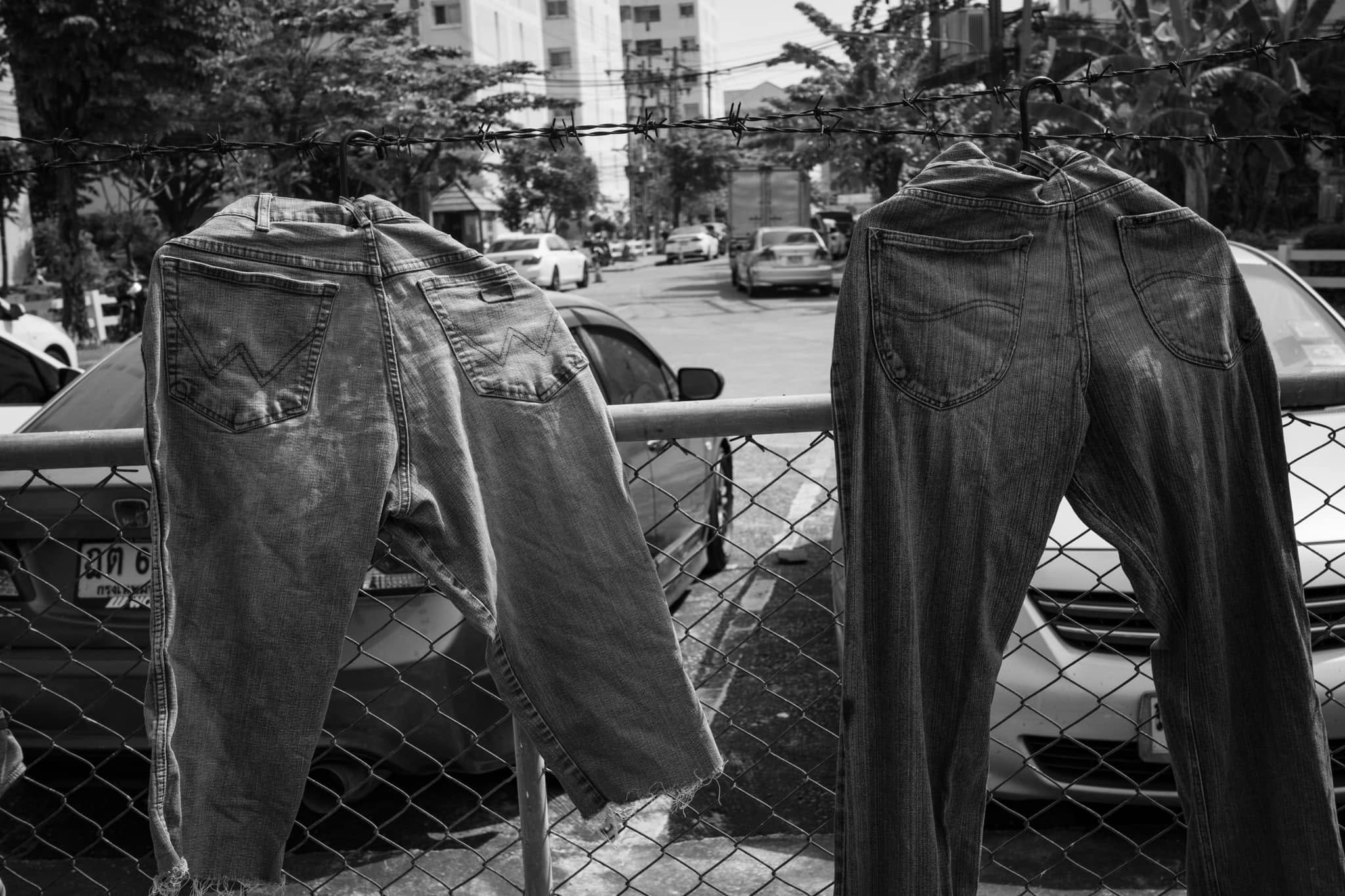 도시의 철망에 걸려 햇빛을 받는 청바지